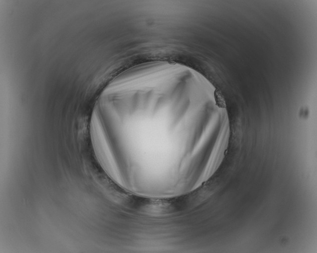 X0000112460278200909071117