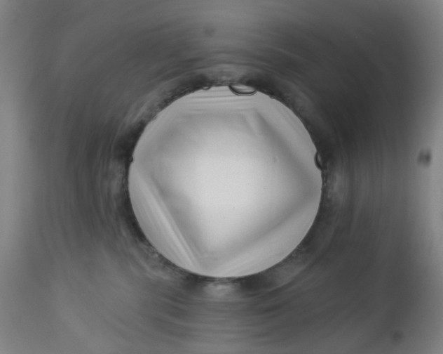 X0000112460283200909071117