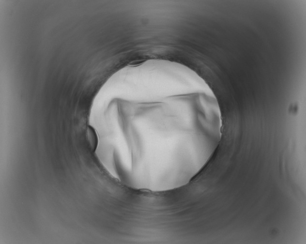X0000112460284200909071117