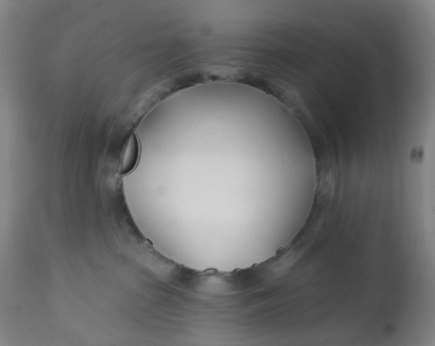 X0000112460285200909071117