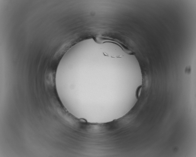 X0000112460286200909071117