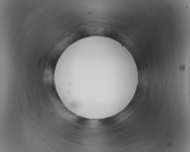 X0000112460287200909071117