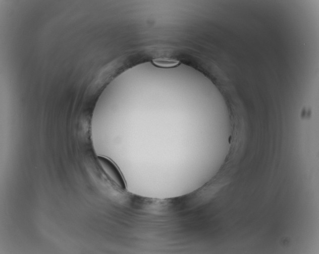 X0000112460288200909071117