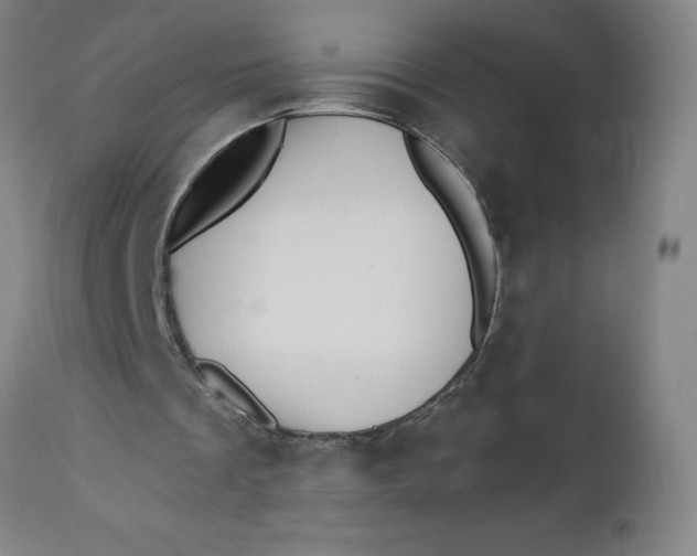 X0000112460289200909071116