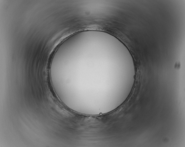 X0000112460290200909071116