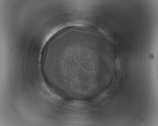 X0000112460292200909071116