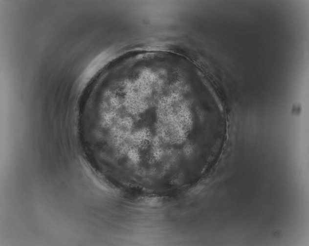 X0000112460295200909071116