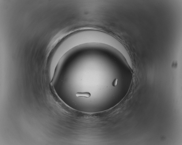 X0000112460296200909071116