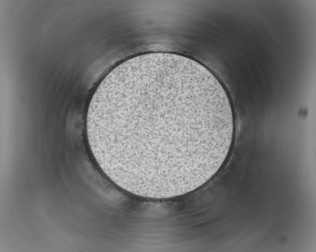 X0000112460297200909071116