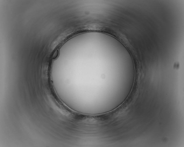 X0000112460299200909071116