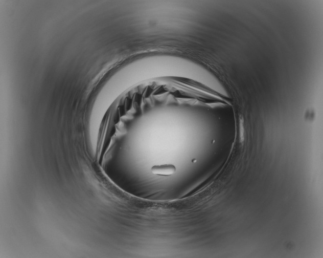 X0000112460300200909071116
