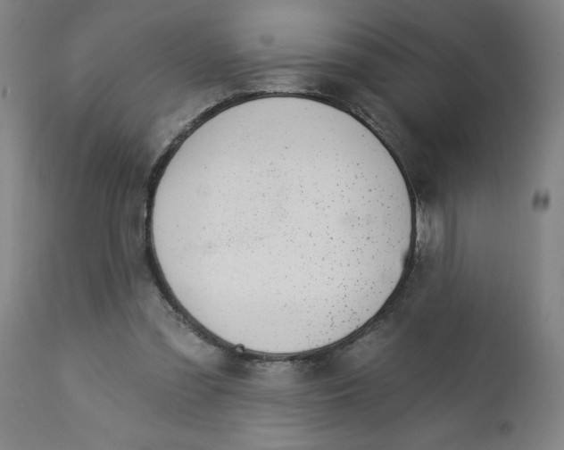 X0000112460301200909071116