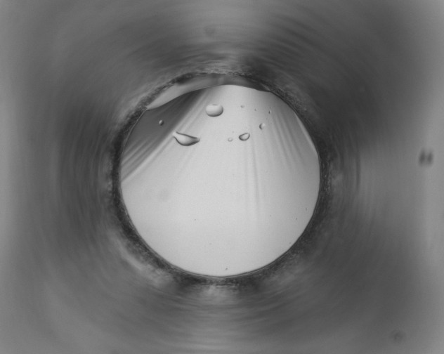 X0000112460303200909071116