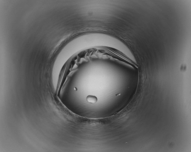 X0000112460304200909071116