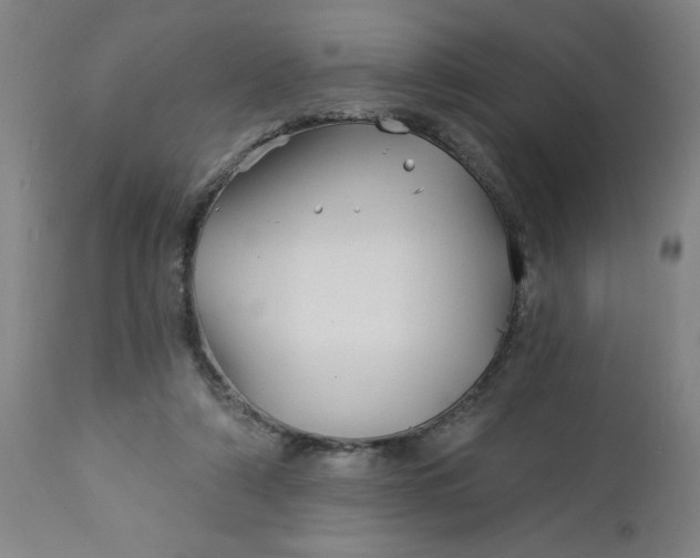 X0000112460306200909071116