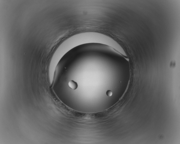 X0000112460308200909071116