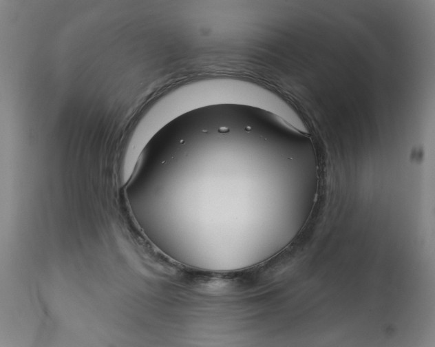 X0000112460312200909071116