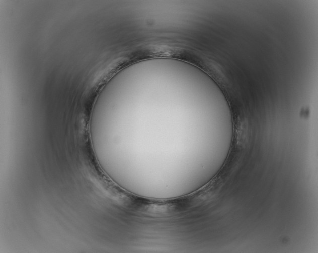 X0000112460314200909071116