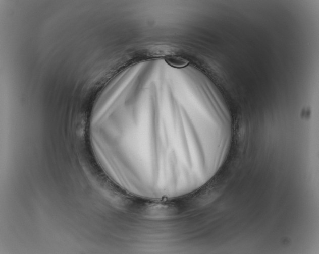 X0000112460315200909071116