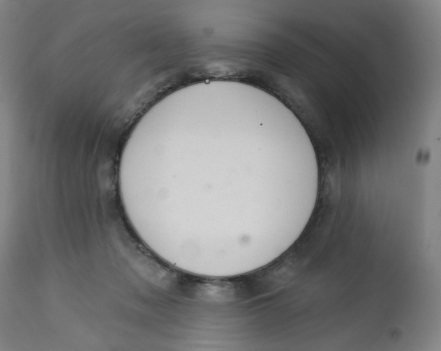 X0000112460317200909071116