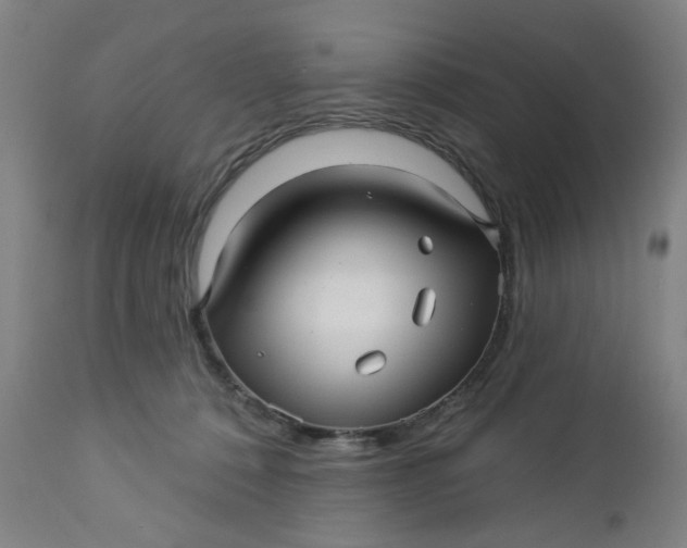 X0000112460320200909071116
