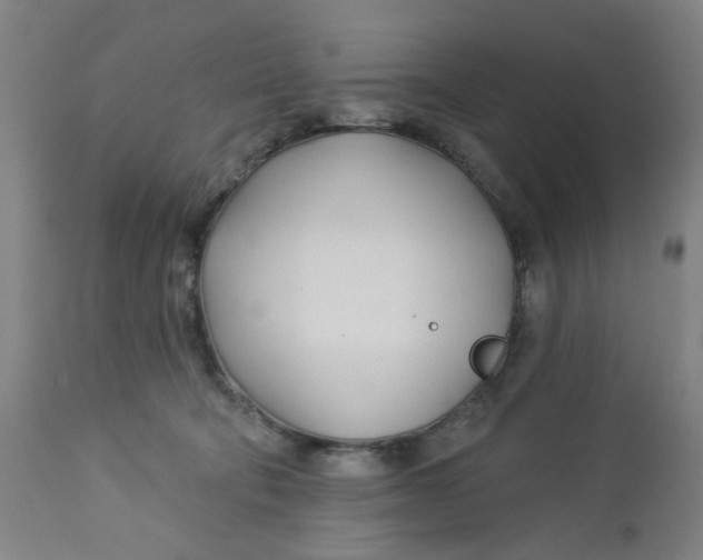 X0000112460322200909071116