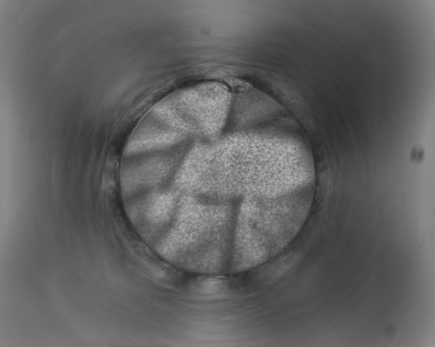 X0000112460325200909071116