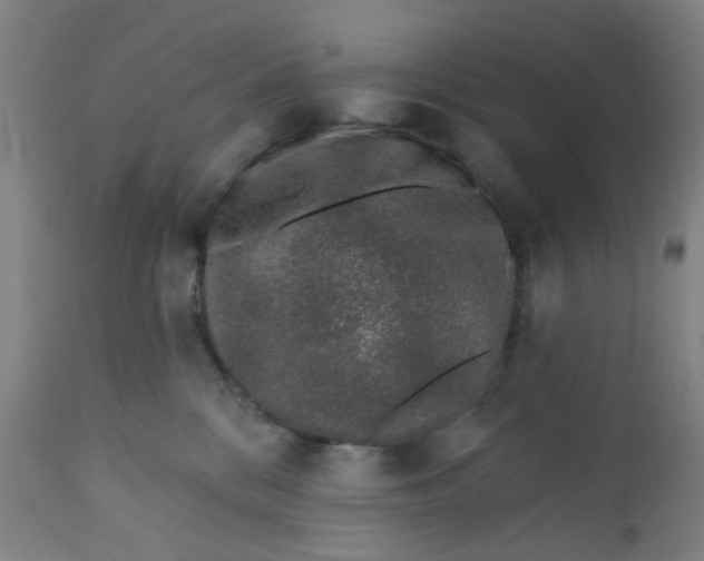 X0000112460328200909071116