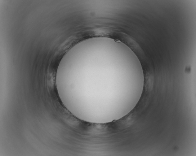 X0000112460329200909071116