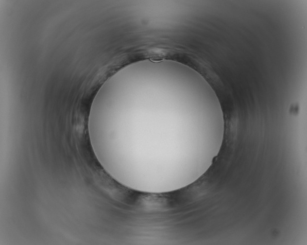 X0000112460331200909071116