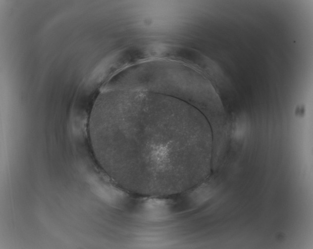 X0000112460332200909071116