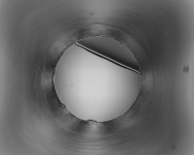 X0000112460333200909071116
