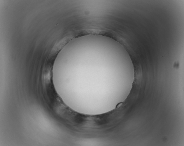 X0000112460334200909071116
