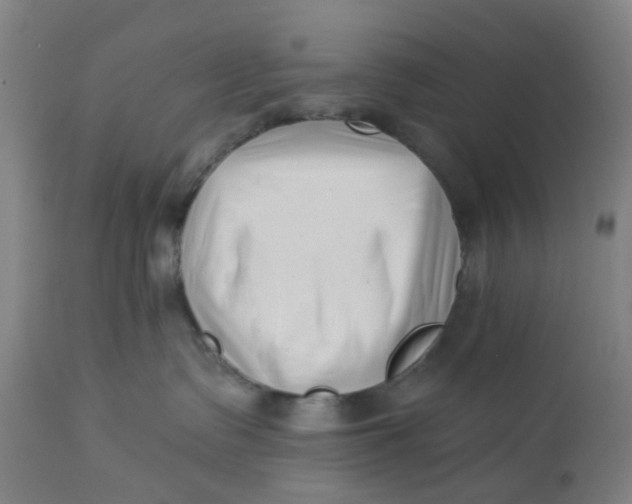 X0000112460335200909071116