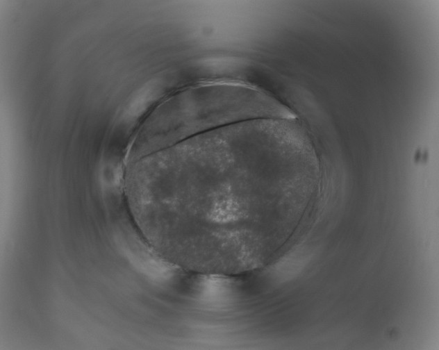 X0000112460336200909071115