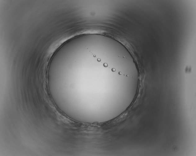X0000112460337200909071115