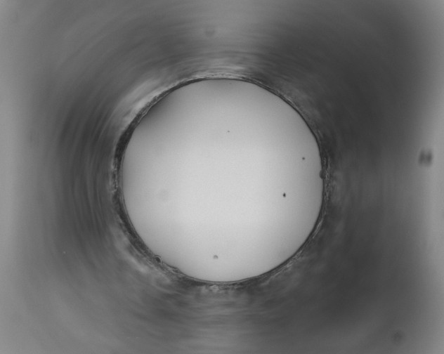 X0000112460338200909071115
