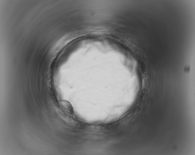 X0000112460339200909071115