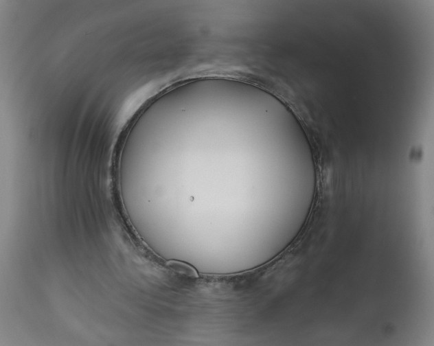 X0000112460340200909071115