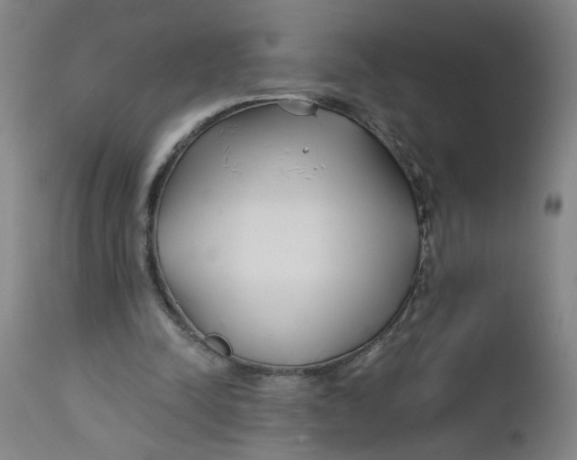 X0000112460342200909071115
