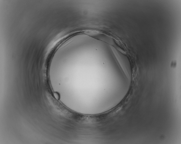 X0000112460343200909071115