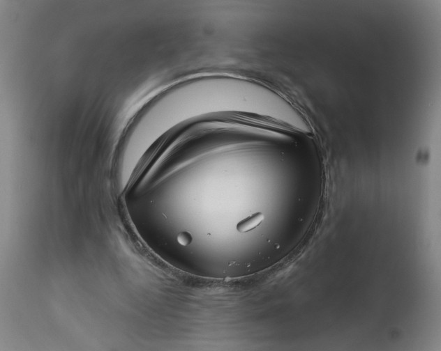 X0000112460344200909071115