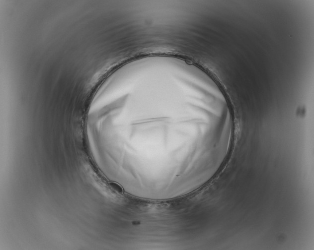 X0000112460345200909071115