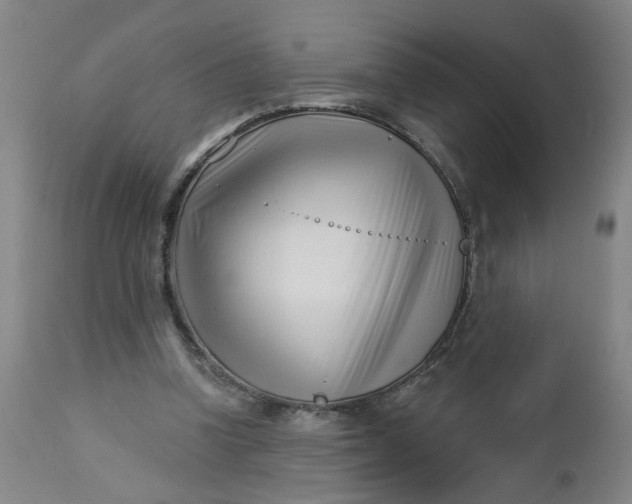 X0000112460346200909071115