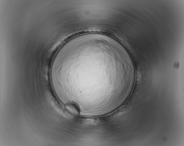 X0000112460347200909071115