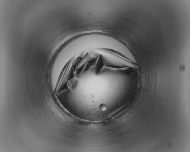 X0000112460350200909071115