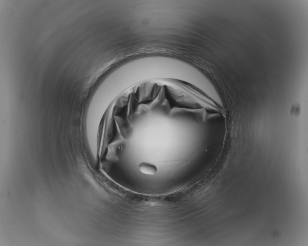 X0000112460352200909071115