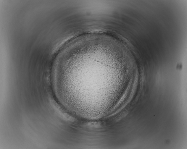 X0000112460353200909071115