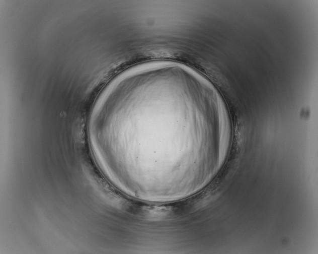 X0000112460359200909071115