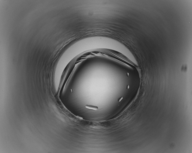 X0000112460360200909071115